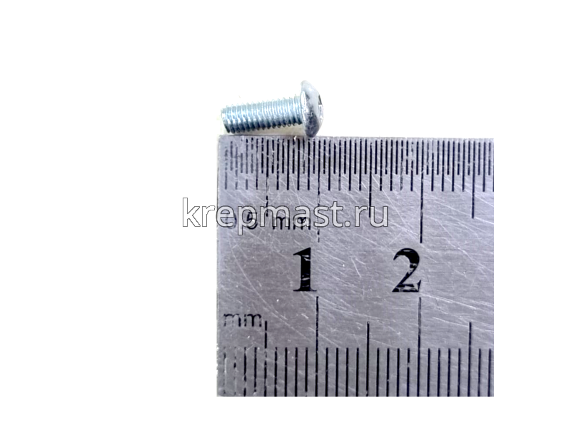 Винт ISO 7380 с внутр.шестигр. 3х 8 10,9