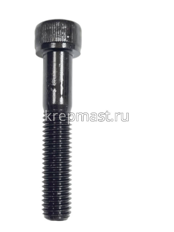 Винт с внутр.шестигранником 10 х 55 черный кл.пр.12,9 н/р DIN 912