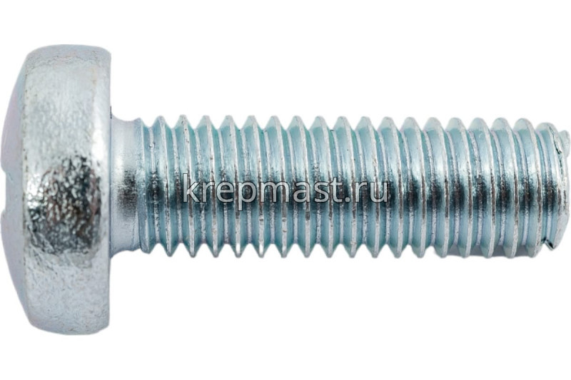Винт п/цил 8.0х25 DIN 7985